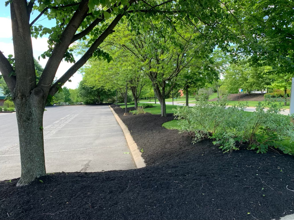 Adams LandWorks recent project